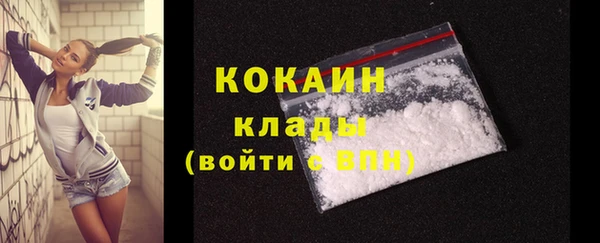 ГАЛЛЮЦИНОГЕННЫЕ ГРИБЫ Бородино