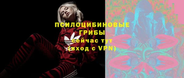 ГАЛЛЮЦИНОГЕННЫЕ ГРИБЫ Бородино
