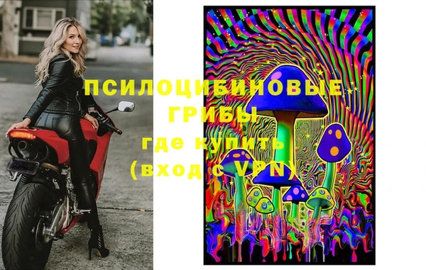 ГАЛЛЮЦИНОГЕННЫЕ ГРИБЫ Бородино